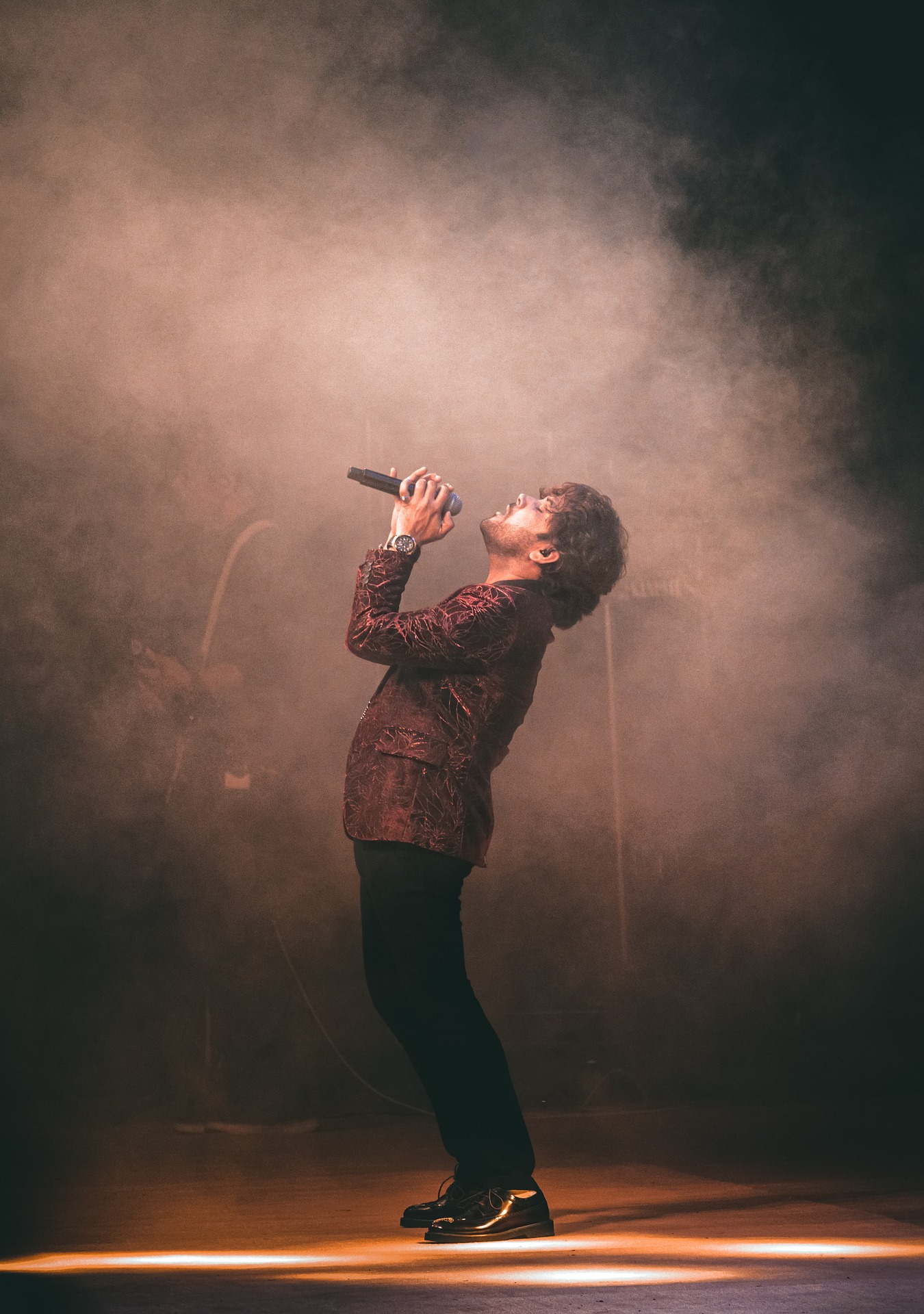 Singer